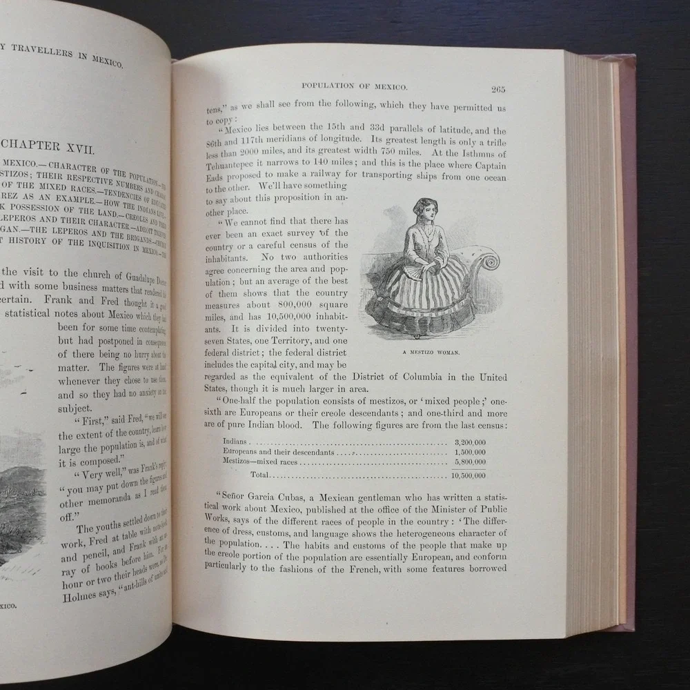 Antique First Edition 1890 Boy Travellers In Mexico by Thomas W. Knox